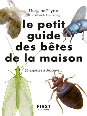 cover image of Petit guide d'observation des petites bêtes de la maison